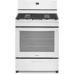 white gas range